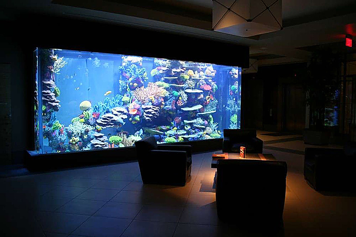 marine-fish-tanks-idea-whatisusa.info_