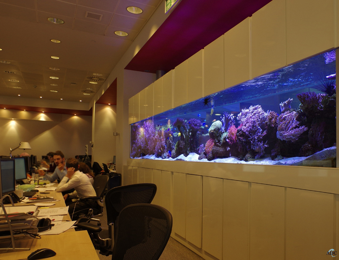 office-aquarium-marine-aquatic-design-centre_2017312